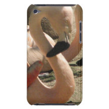 Flamingo Pictures iTouch Case Barely There iPod Case