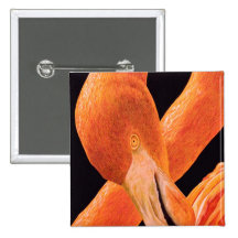 Flamingo Pinback Button