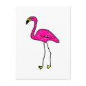 flamingo postcards