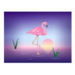 Flamingo Postcards
