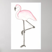 Flamingo Poster