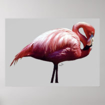 Flamingo Print