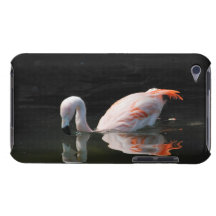 Flamingo Reflection iPod Touch Cases