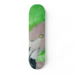 Flamingo skateboards