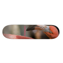Flamingo SKATEMORE Skateboard
