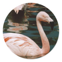 Flamingo Round Sticker