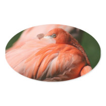 Flamingo Sticker