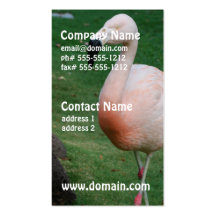 Flamingo Stroll Business Cards