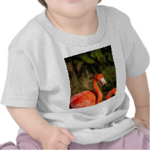 Flamingo T-shirt