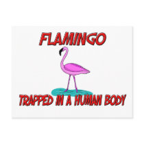 Flamingo trapped in a human body