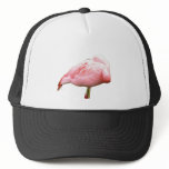 Flamingo Tucked Beak Hat