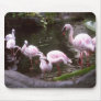 flamingos 1 mouse mat