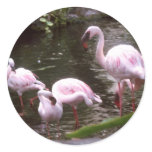 flamingos 1 stickers