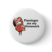 Flamingos ate my Homework