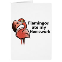 Flamingos ate my Homework