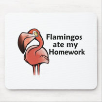 Flamingos ate my Homework