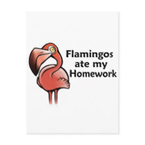 Flamingos ate my Homework