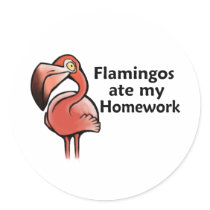 Flamingos ate my Homework