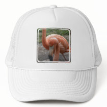 Flamingos Baseball Hat