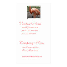 Flamingos Business Card
