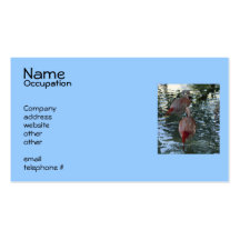Flamingos Business Card Template