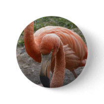 Flamingos Button