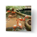 flamingos buttons