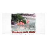 flamingos can't blush! photo cards