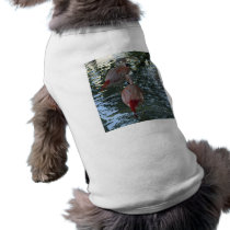 Flamingos Dog Clothes