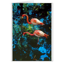 Flamingos FL Card