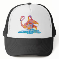 Flamingos