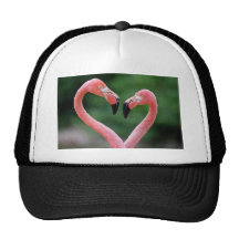 Flamingos hat