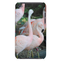 Flamingos in the Park 2 Barely There iPod Cover