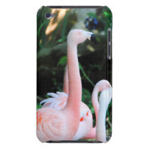 Flamingos in the Park 3 iPod Touch Case-Mate Case