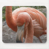Flamingos Mouse Pad