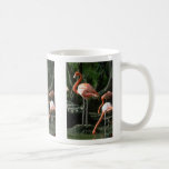 Flamingos Mug