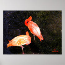 Flamingos Painting - Original digital art Print