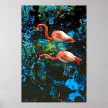 Flamingos - posters
