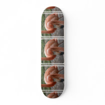 Flamingos Skateboard
