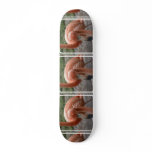 Flamingos Skateboard