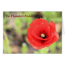 Flanders fields poppy photo and poem greeting card