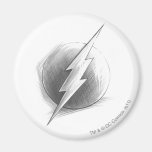 Flash Insignia Fridge Magnet