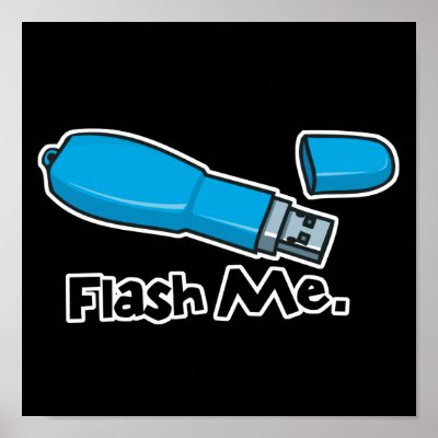 flash me flash drive design print by geekme