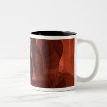 Flashflood-eroded sandstone formations of coffee mugs