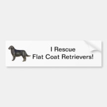 Flat Coat Retriever Bumper Sticker