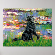 Flat Coated Retriever 2 - Lilies 2 Print
