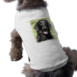 Flat Coated Retriever 9Y040D-040 pet clothing