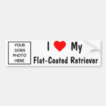 Flat-Coated Retriever Bumper Stickers
