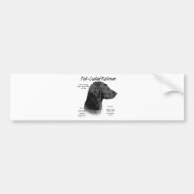 Flat-Coated Retriever History Design Bumper Sticker