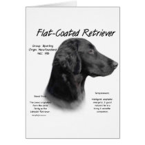 Flat-Coated Retriever History Design